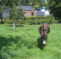 /album/photogallery/martin-et-maison-jpg/